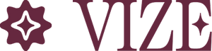 Vize logo